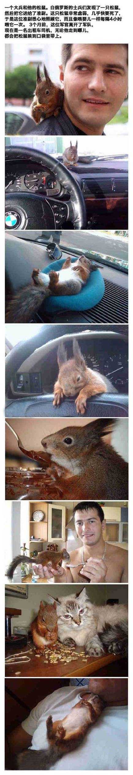 一个大兵和松鼠的故事人物gif搞笑图片