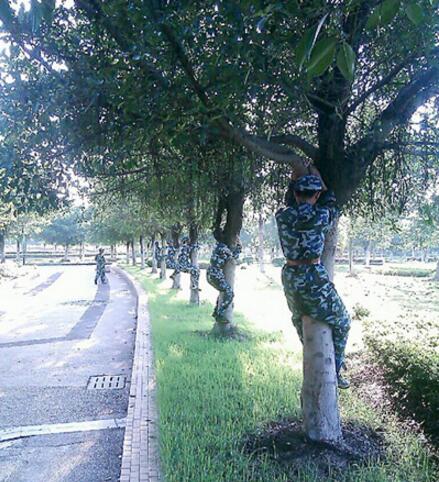 今天的军训科目是学习“抱树”人物gif搞笑图片