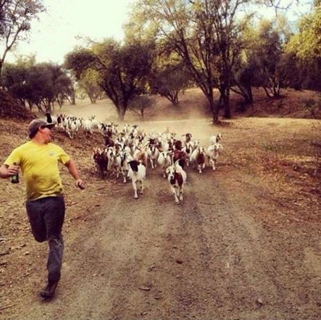 别追我啊，快停下人物gif搞笑图片
