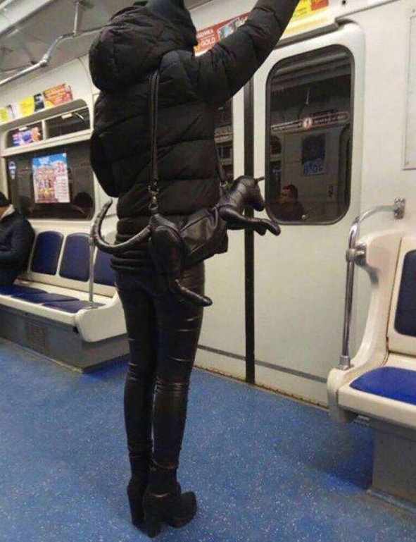 带宠物出来遛遛人物gif搞笑图片