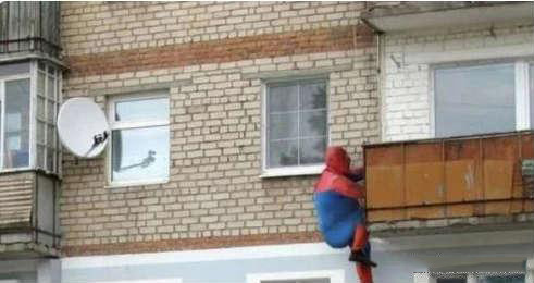 人到中年，蜘蛛侠依然坚守在工作岗位上人物gif搞笑图片