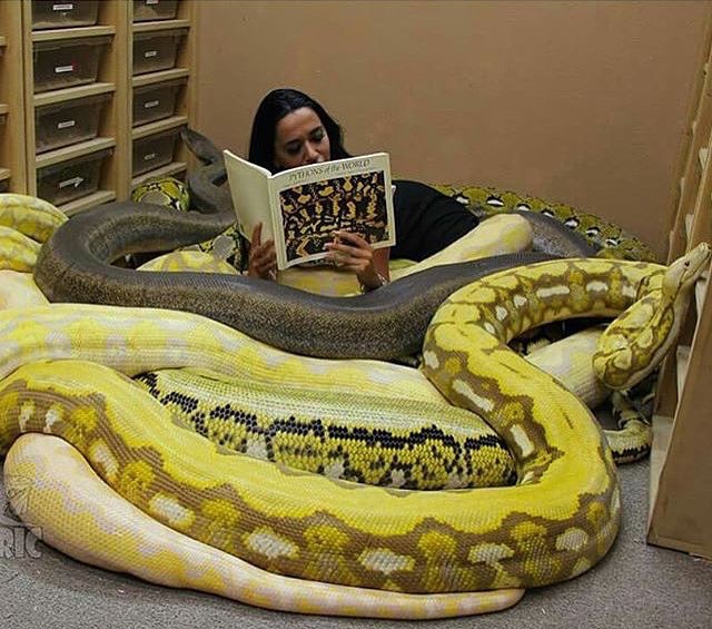 为什么我能够静下心来好好看书人物gif搞笑图片