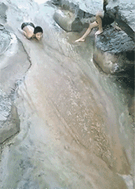 我像只鱼儿在你的荷塘人物gif搞笑图片