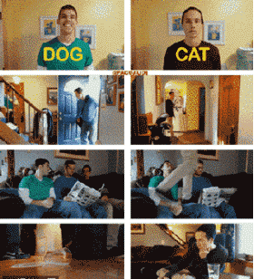 真人演绎猫与狗的区别人物gif搞笑图片