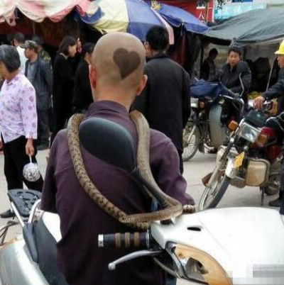 比发型更拉风的是肚子上的项链人物gif搞笑图片