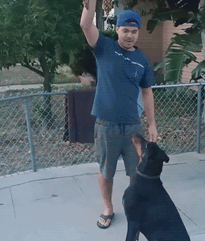 好孩子人物gif搞笑图片