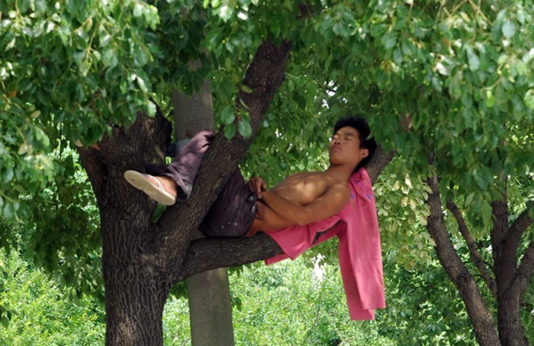 男版小龙女人物gif搞笑图片