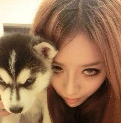 这眼神好犀利~人物gif搞笑图片