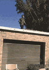 啥？你叫我~我来了人物gif搞笑图片