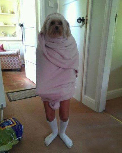 我该拿什么来形容你的二人物gif搞笑图片