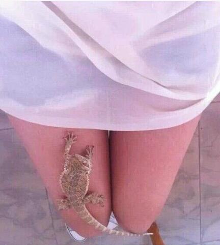 哎呀妹子你胆子真的好大哦人物gif搞笑图片