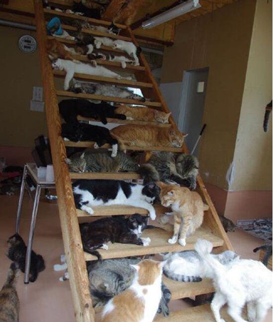 给你们感受下什么叫做多得连下脚的地方都没有人物gif搞笑图片