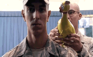 美国空军礼仪卫兵队的日常训练：不能笑人物gif搞笑图片