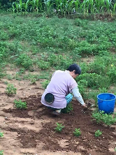 防蚊子新技能，大妈果然是高人人物gif搞笑图片