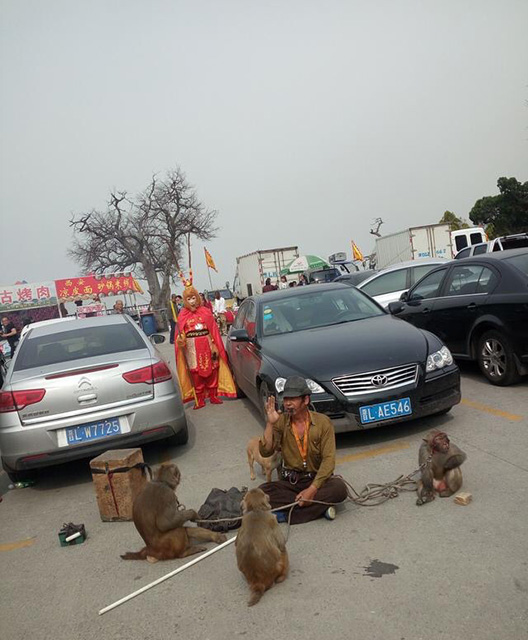 耍猴人回头一看估计会被吓尿人物gif搞笑图片