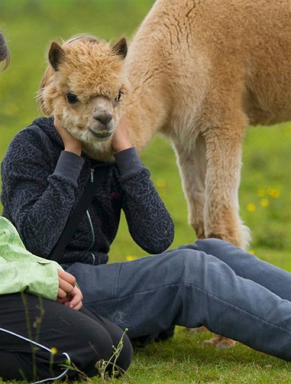 现代换头术人物gif搞笑图片