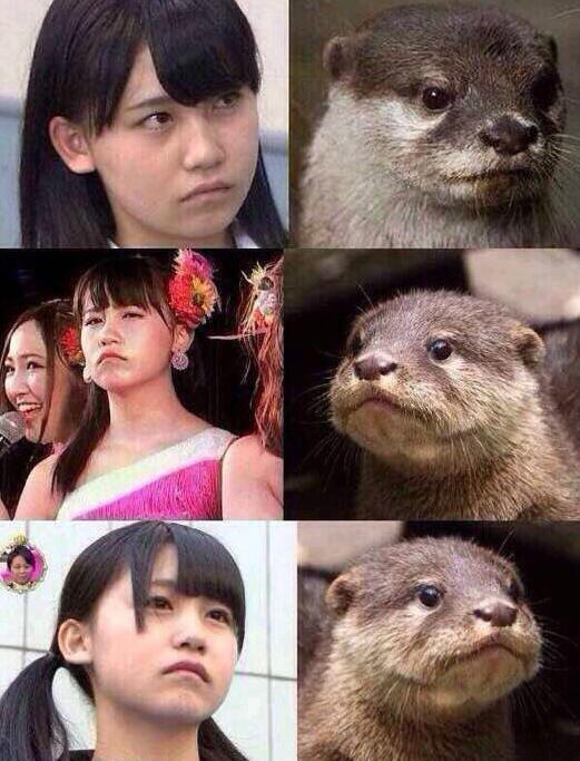 右边的比较萌人物gif搞笑图片