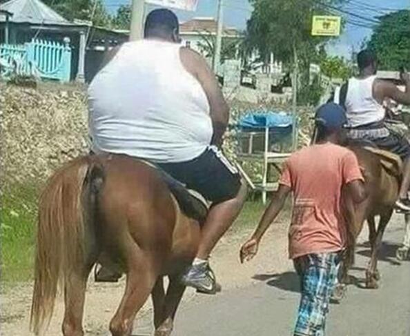 心疼这匹马，它肯定在心里哭泣人物gif搞笑图片