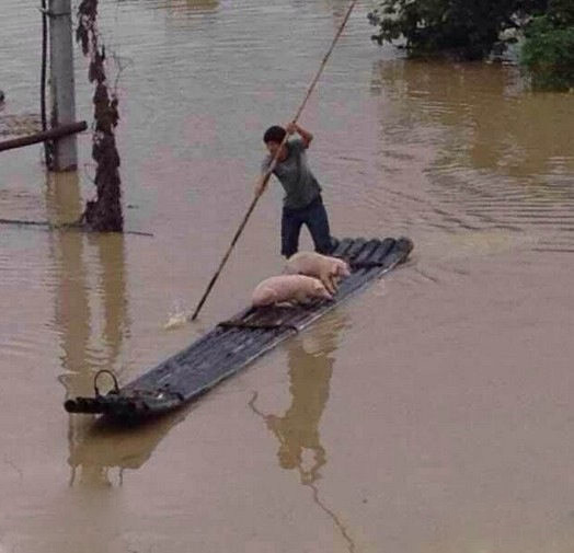 猪猪你坐船头，哥哥我来撑舟，晃晃悠悠到岸头人物gif搞笑图片