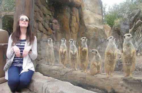 狐獴完胜有木有~~人物gif搞笑图片