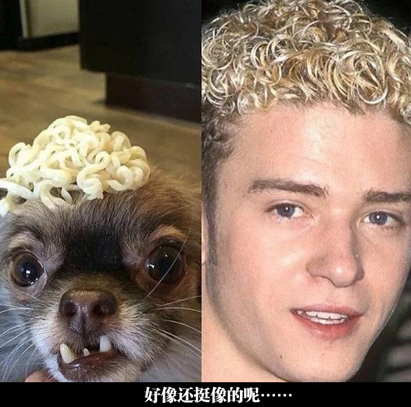 看来这个发型的灵感是来源于生活人物gif搞笑图片