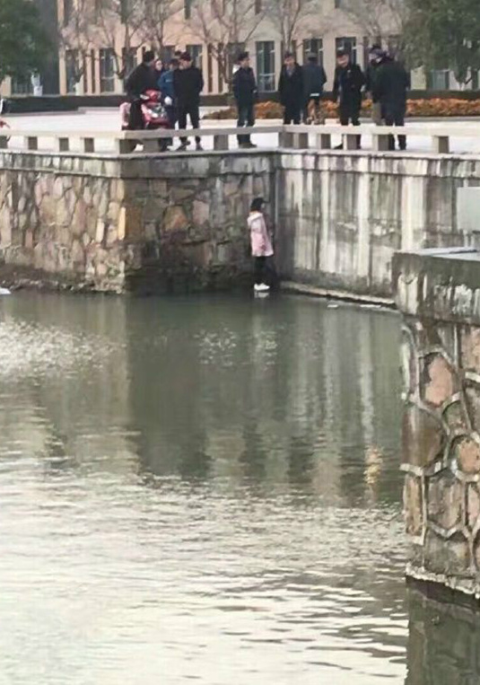 同济大学女生玩手机不慎落水...真·悲伤逆流成河人物gif搞笑图片
