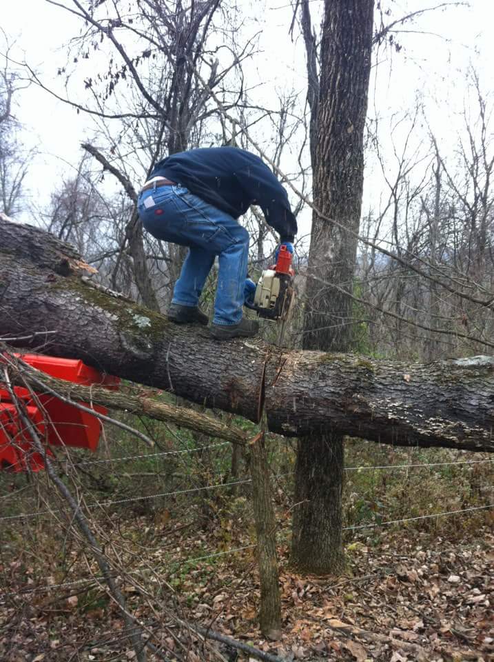 这脑子不好使啊人物gif搞笑图片
