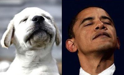 谁模仿谁？人物gif搞笑图片