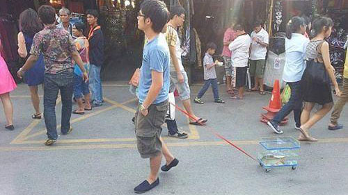 遛宠物的神人人物gif搞笑图片