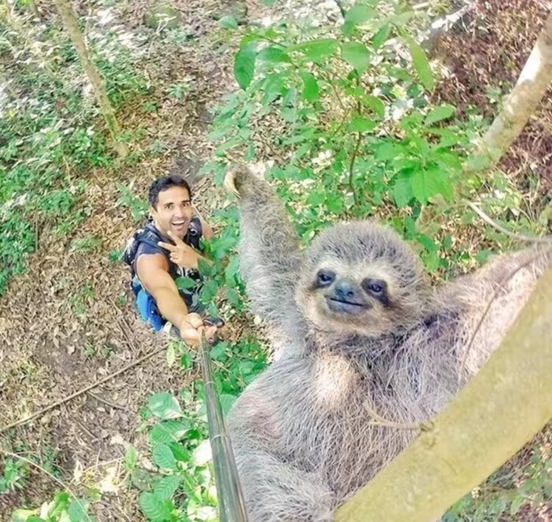 来，给爷笑一个！人物gif搞笑图片