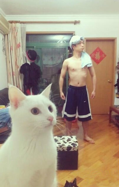 兄弟，你被喵星人抢镜了人物gif搞笑图片