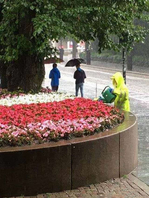 世界上最敬业的园林工作者人物gif搞笑图片