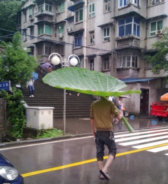 纯绿色的雨中漫步人物gif搞笑图片