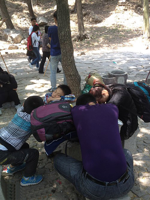 沉睡的一家人，缘分啊!人物gif搞笑图片