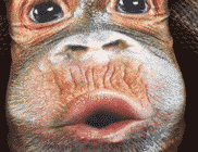 差点就误以为是真的了人物gif搞笑图片