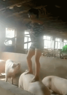 姑娘说吧！你和二师兄啥关系人物gif搞笑图片