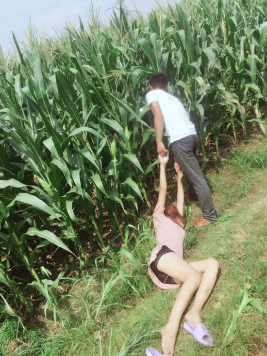 玉米地欢迎你人物gif搞笑图片