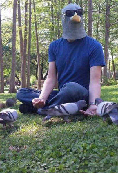 喂鸽子的正确方法人物gif搞笑图片