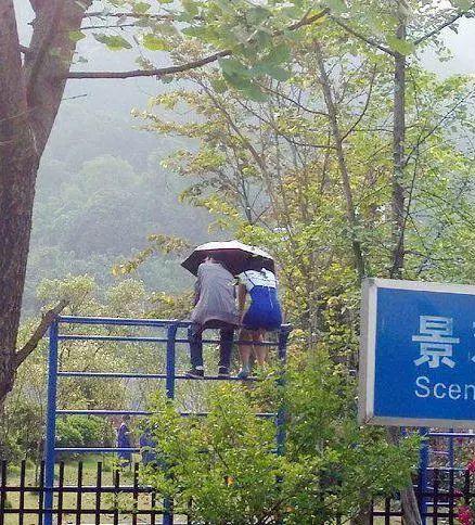 很有情调呀人物gif搞笑图片