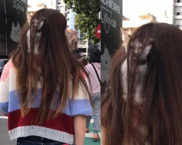 头发里有鬼？人物gif搞笑图片