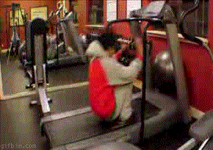 这位小朋友，你怎么这么吊，你家里人知道吗人物gif搞笑图片