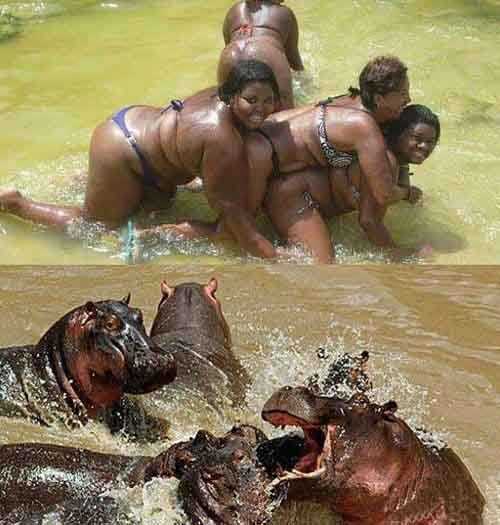 同样欢乐的赶脚人物gif搞笑图片