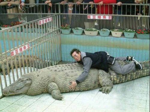 与动物的一次亲密接触人物gif搞笑图片