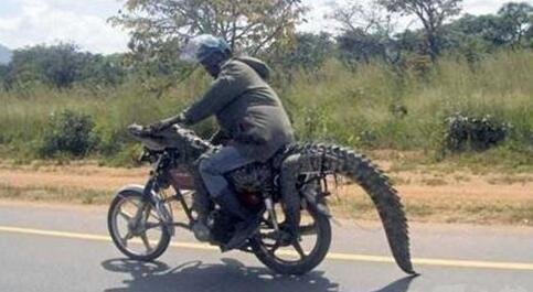 这是不想活的节奏啊人物gif搞笑图片