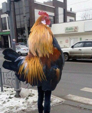 妹子你暴露身份了人物gif搞笑图片