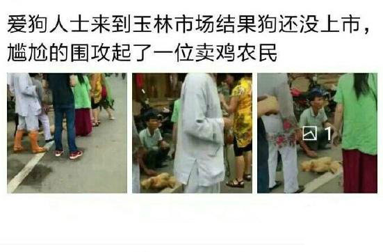 爱狗人士已经丧心病狂到了这一步人物gif搞笑图片