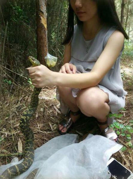 这样的女汉子我娶了人物gif搞笑图片