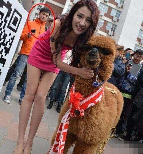 姑娘其实后面这些大哥，都不是来看羊驼的，你回头看看你就知道了人物gif搞笑图片