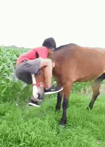 另类上马术人物gif搞笑图片