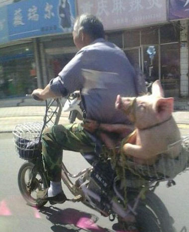 哎呦，大叔出来溜孩子啊~人物gif搞笑图片